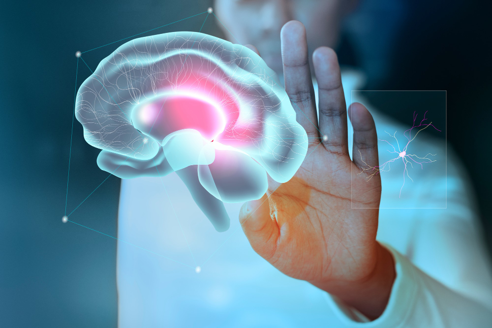 Understand how your brain learns new words